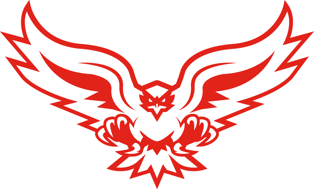 Hartford Hawks 2015-Pres Alternate Logo v4 diy iron on heat transfer...